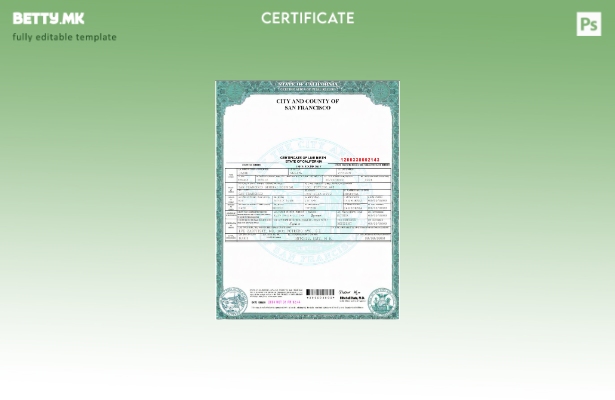 модерен стил, шаблон за извод од матична книга на родените во Калифорнија, во ша